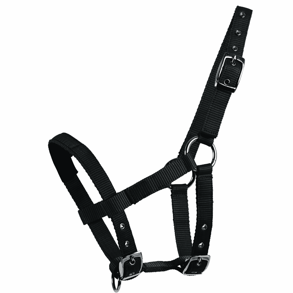 Mini-Shetty Halfter Mini-Shetty Halfter von Waldhausen