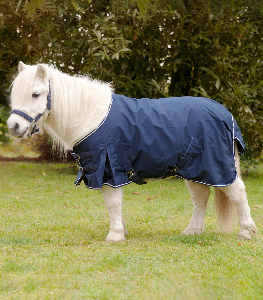 Shetty-Regendecke Shetty-Regendecke von Waldhausen