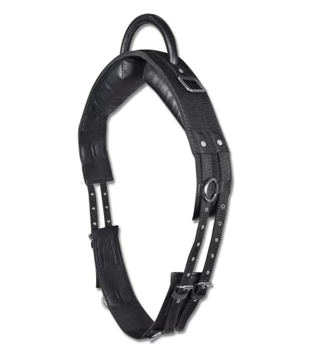 WALDHAUSEN Longiergurt mit Handgriff, SH, schwarz WALDHAUSEN Longiergurt mit Handgriff, SH, schwarz von WALDHAUSEN