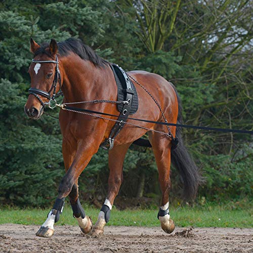 WALDHAUSEN Longiersystem WALDHAUSEN Longiersystem von WALDHAUSEN