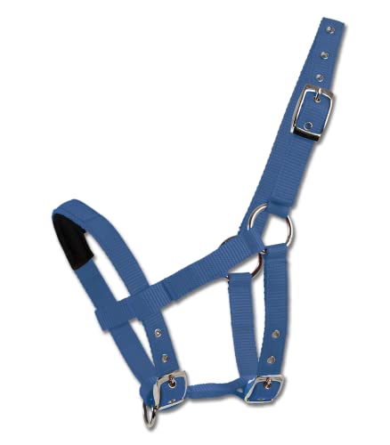 WALDHAUSEN Mini-Shetty Halfter WALDHAUSEN Mini-Shetty Halfter von WALDHAUSEN
