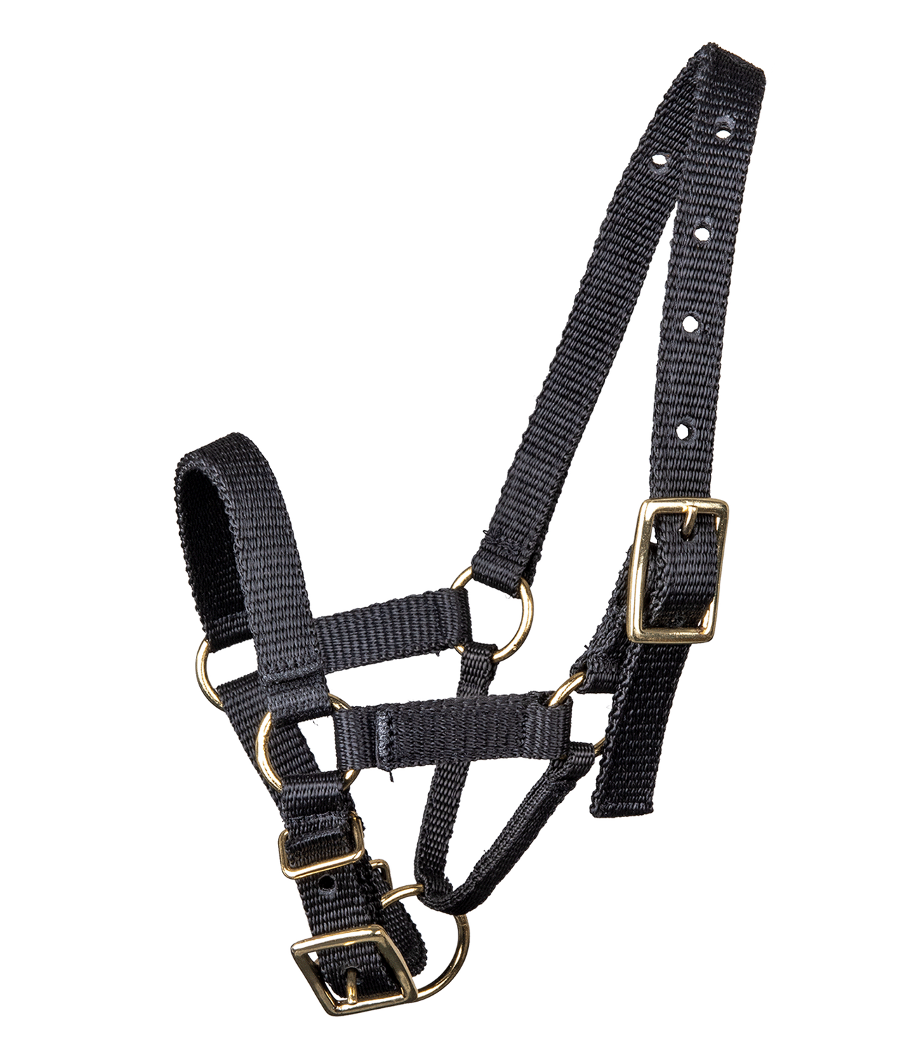 Waldhausen Alpaka Halfter Waldhausen Alpaka Halfter von Waldhausen