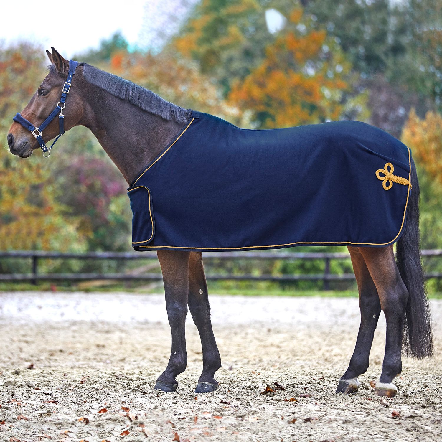 Waldhausen Fleece & Sponsorendecke von Waldhausen