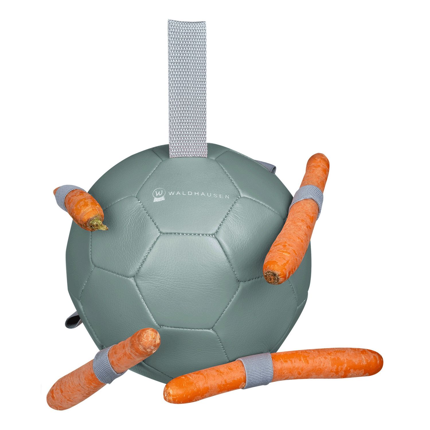 Waldhausen Karottenball Waldhausen Karottenball von Waldhausen