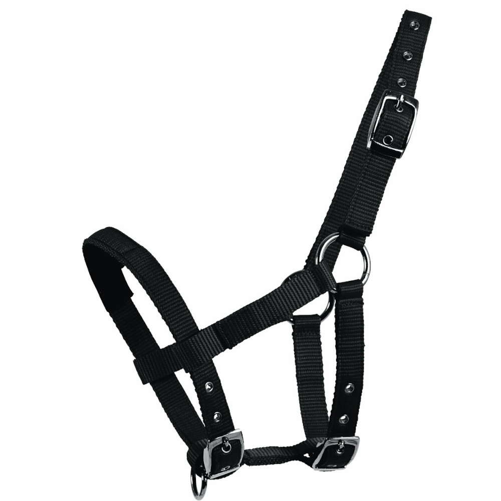 Waldhausen MiniShetty Halfter Waldhausen MiniShetty Halfter von Waldhausen