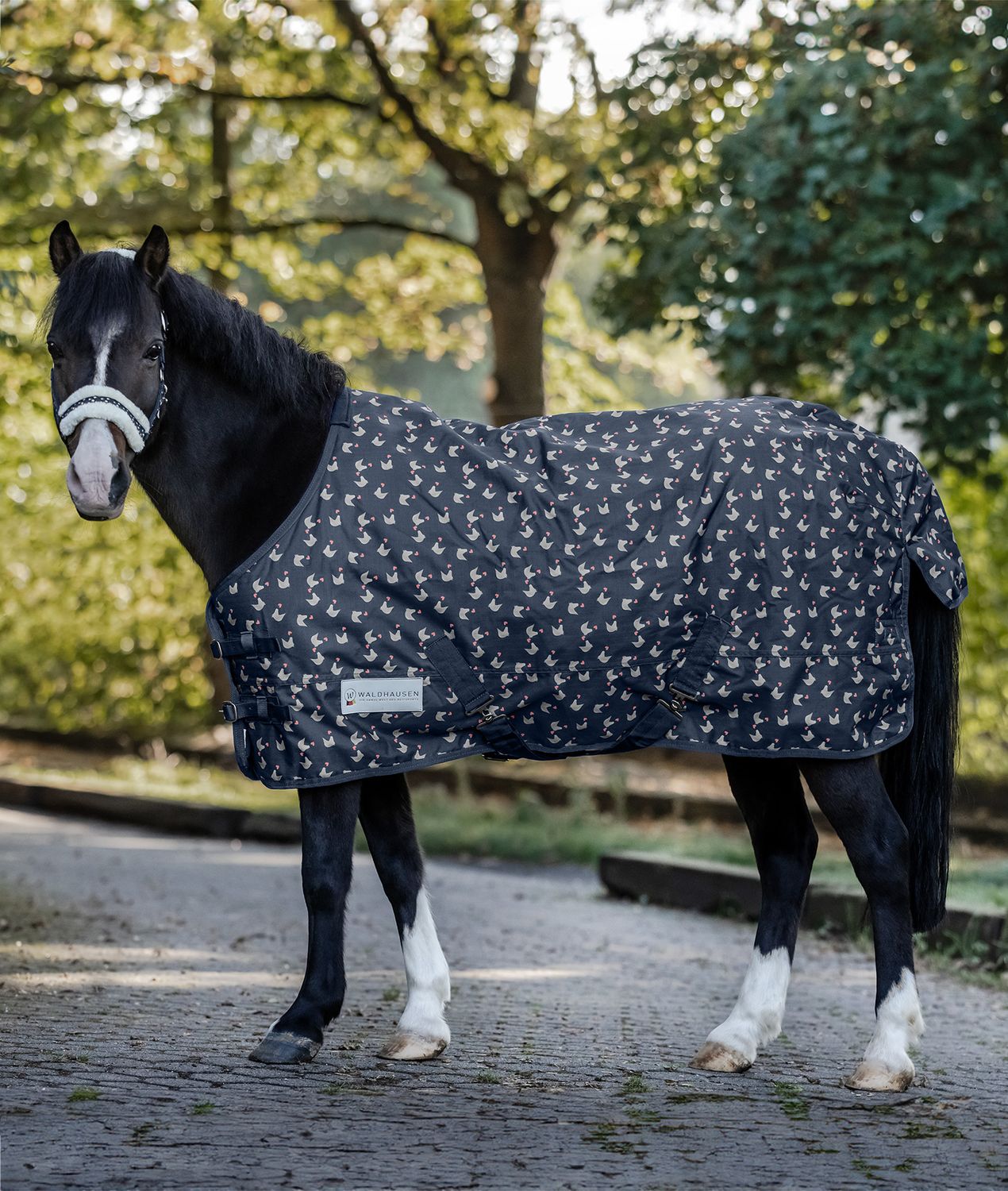 Waldhausen Outdoordecke Lucky Fleece Waldhausen Outdoordecke Lucky Fleece von Waldhausen
