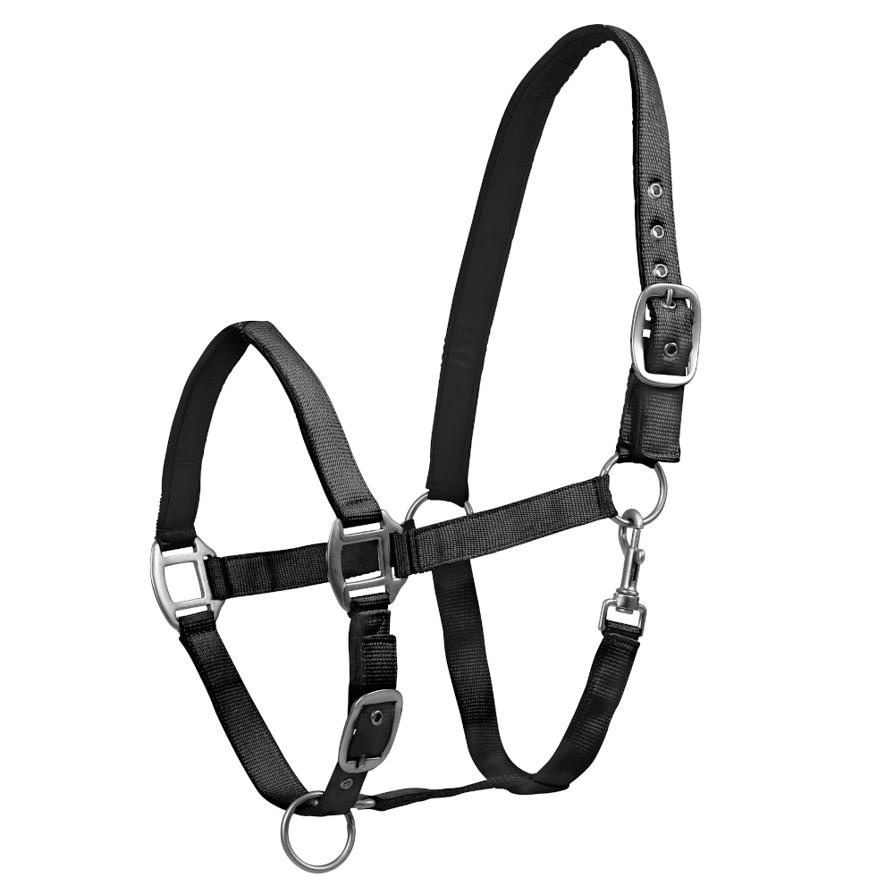 Waldhausen Perlonhalfter Satin Waldhausen Perlonhalfter Satin von Waldhausen