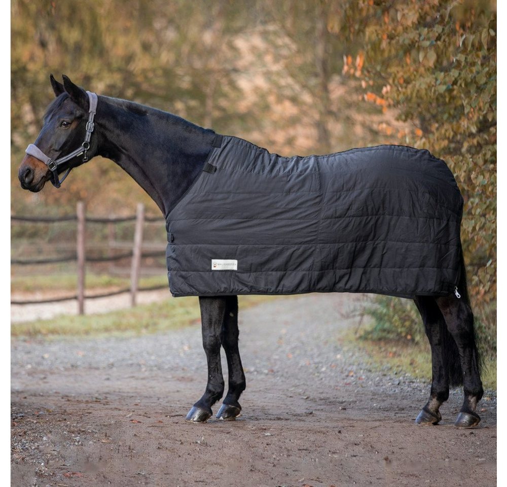 Waldhausen Pferde-Thermodecke Waldhausen Economic Thermo Unterdecke 200g - schwarz Waldhausen Pferde-Thermodecke Waldhausen Economic Thermo Unterdecke 200g - schwarz von Waldhausen