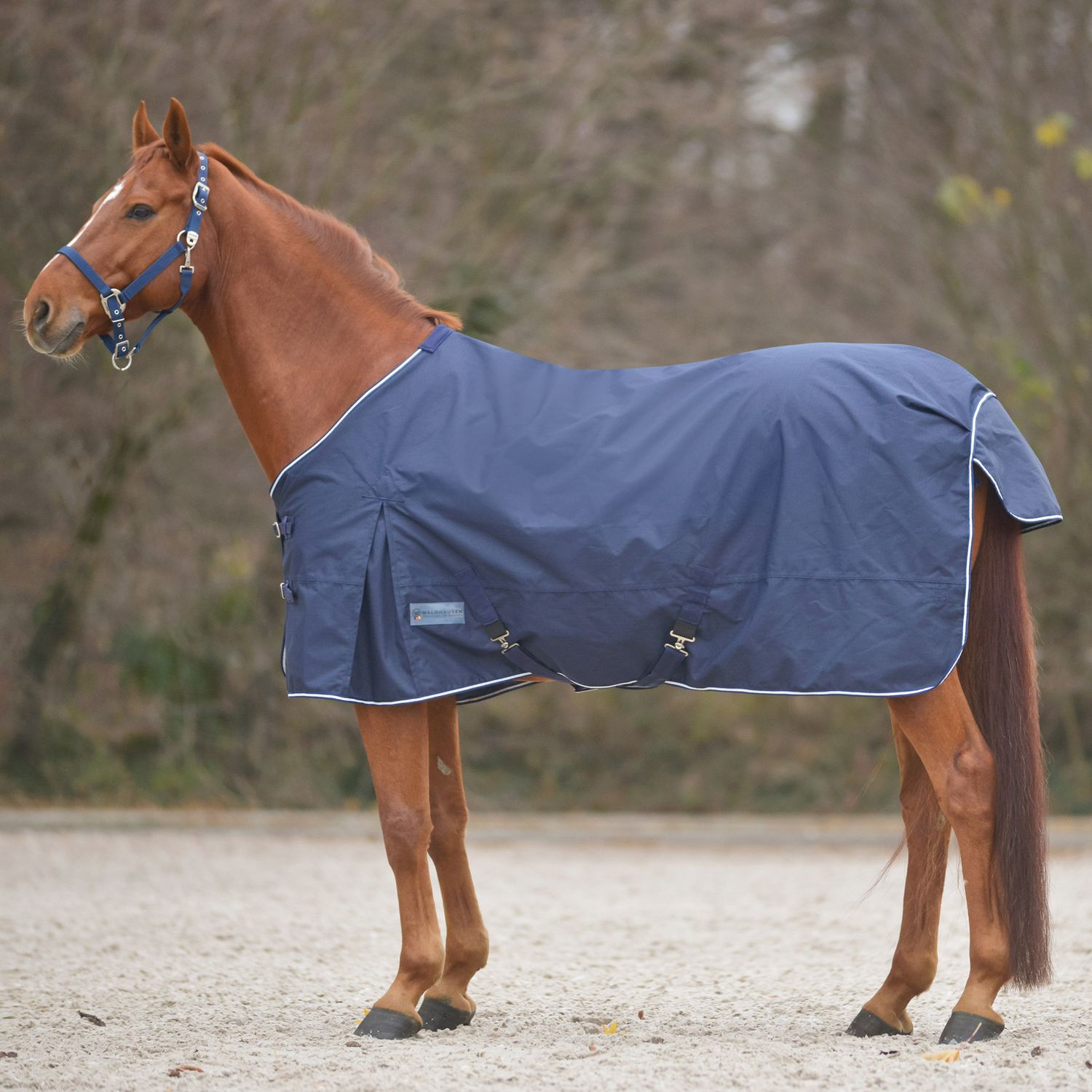 Waldhausen Comfort Regendecke mit Kreuzgurt 0 Gramm von Waldhausen