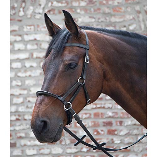 Waldhausen Trensenzaum LTJ Lindel TellingtonJohnes gebisslos Größe/Farbe VB/schwarz Waldhausen Trensenzaum LTJ Lindel TellingtonJohnes gebisslos Größe/Farbe VB/schwarz von WALDHAUSEN