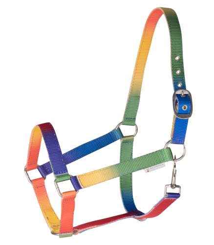 WALDHAUSEN Halfter Regenbogen, VB und WB WALDHAUSEN Halfter Regenbogen, VB und WB von WALDHAUSEN