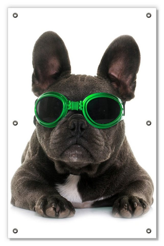 Sonnenschutz Cooler Hund mit Sonnenbrille in grün - Französische Bulldogge, Wallario, blickdicht, mit Saugnäpfen, wiederablösbar und wiederverwendbar von Wallario