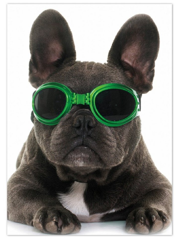 Wallario Teppich Cooler Hund mit Sonnenbrille in grün - Französische Bulldogge, rechteckig, rutschfest Wallario Teppich Cooler Hund mit Sonnenbrille in grün - Französische Bulldogge, rechteckig, rutschfest von Wallario