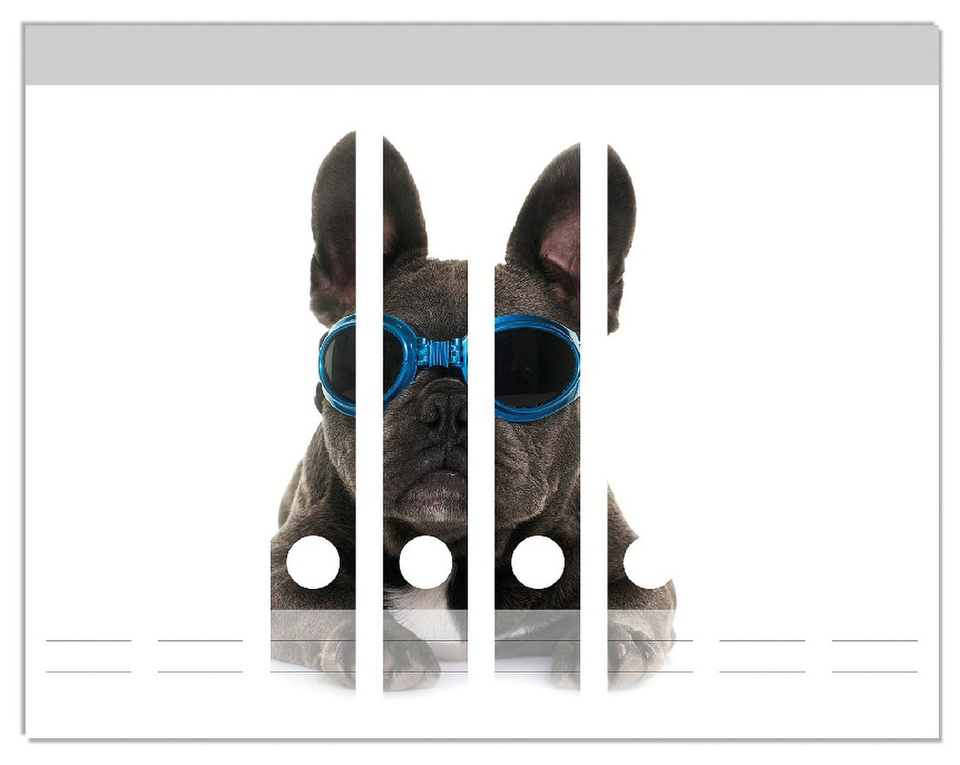 Wallario Etiketten Cooler Hund mit Sonnenbrille in blau - Französische Bulldogge, Ordnerrücken-Sticker in verschiedenen Ausführungen Wallario Etiketten Cooler Hund mit Sonnenbrille in blau - Französische Bulldogge, Ordnerrücken-Sticker in verschiedenen Ausführungen von Wallario