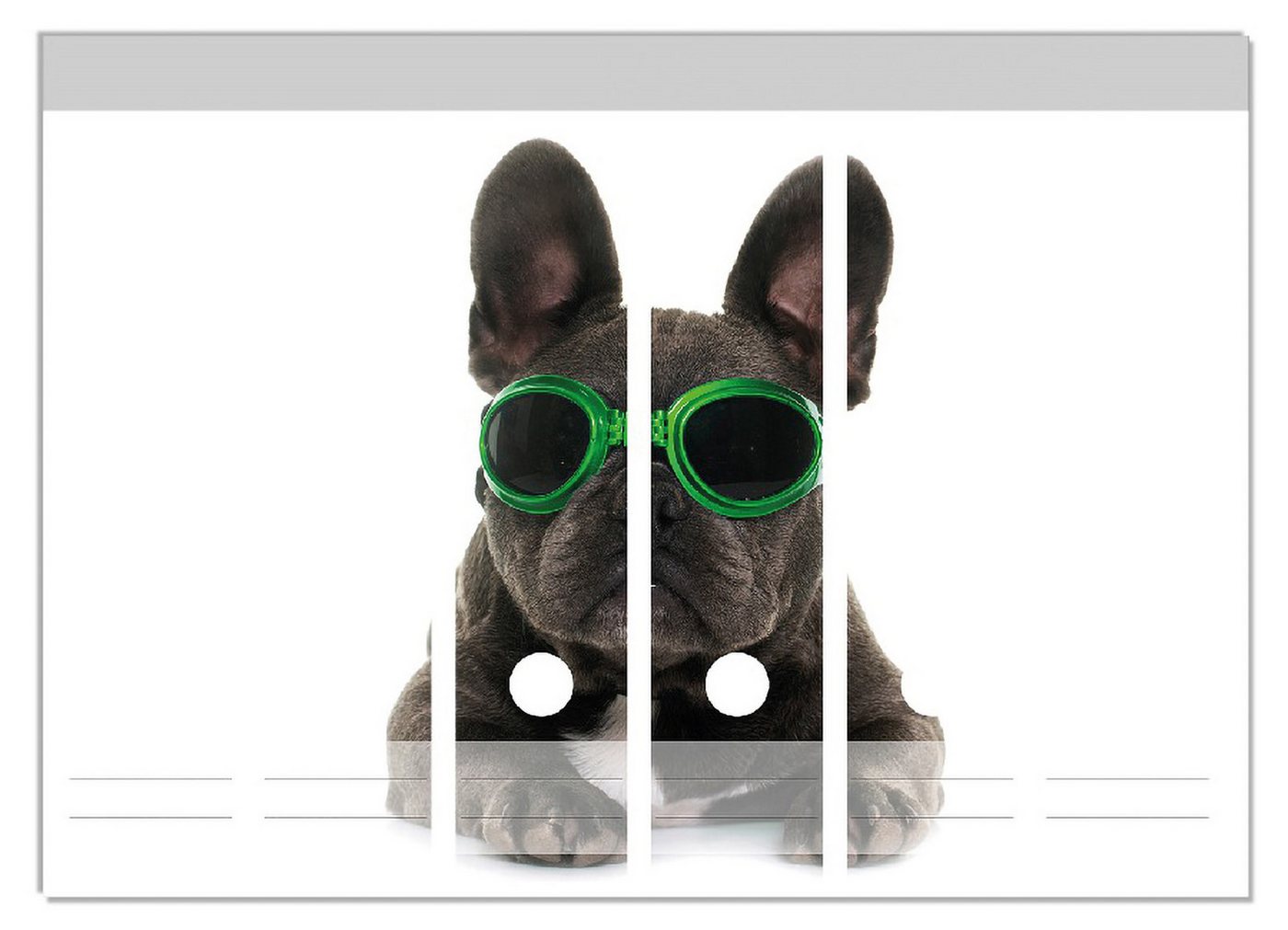 Wallario Etiketten Cooler Hund mit Sonnenbrille in grün - Französische Bulldogge, Ordnerrücken-Sticker in verschiedenen Ausführungen Wallario Etiketten Cooler Hund mit Sonnenbrille in grün - Französische Bulldogge, Ordnerrücken-Sticker in verschiedenen Ausführungen von Wallario