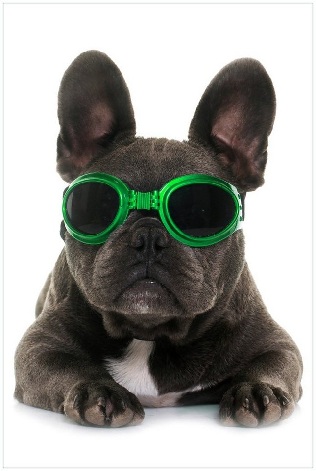 Wallario Glasbild, Cooler Hund mit Sonnenbrille in grün - Französische Bulldogge, in verschiedenen Ausführungen Wallario Glasbild, Cooler Hund mit Sonnenbrille in grün - Französische Bulldogge, in verschiedenen Ausführungen von Wallario