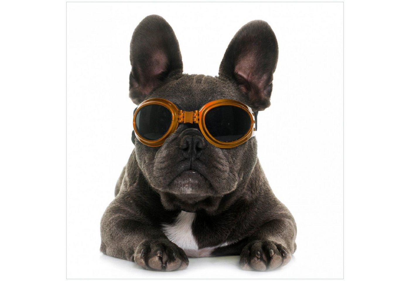 Wallario Memoboard Cooler Hund mit Sonnenbrille in orange - Französische Bulldogge Wallario Memoboard Cooler Hund mit Sonnenbrille in orange - Französische Bulldogge von Wallario