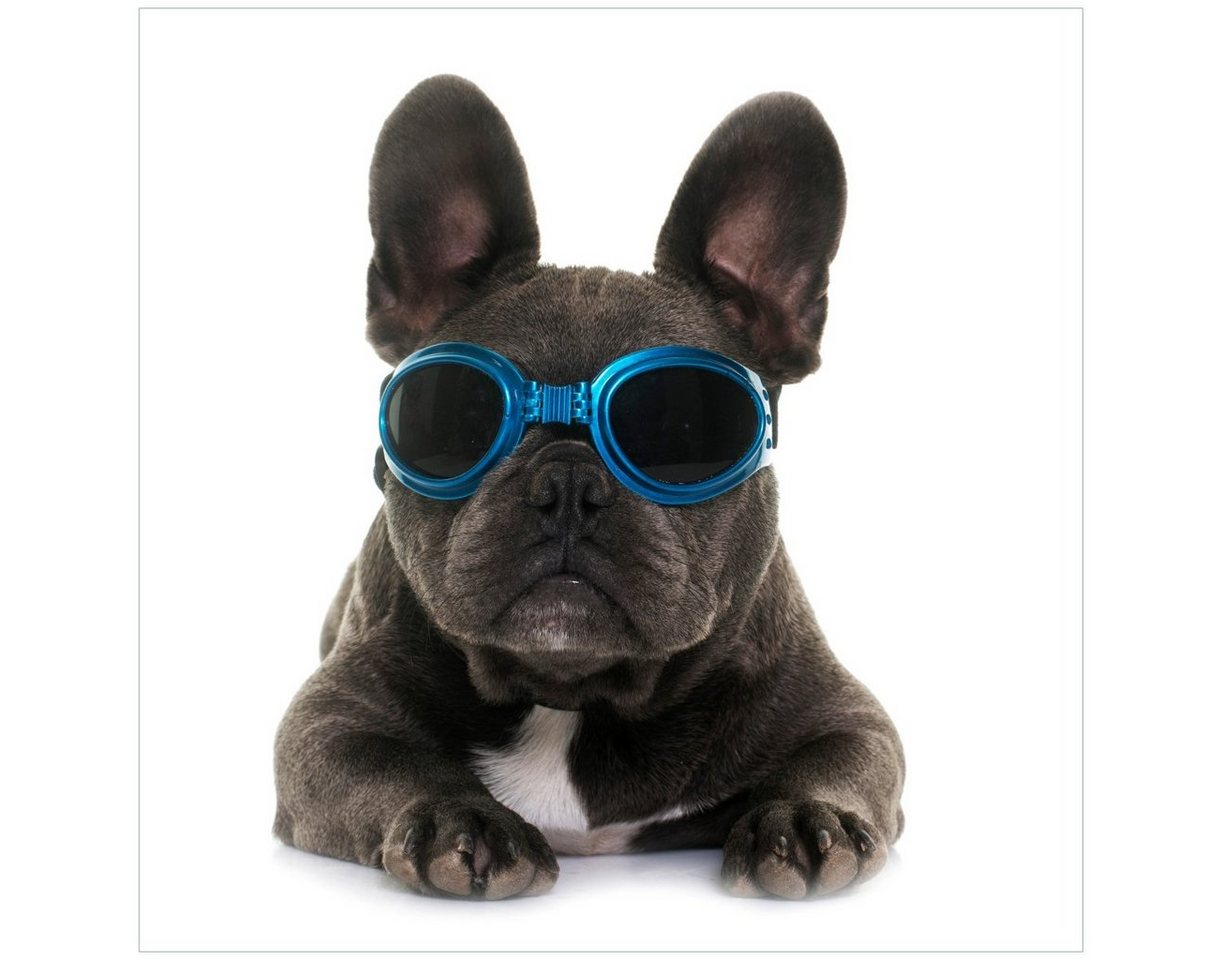 Wallario Möbelfolie Cooler Hund mit Sonnenbrille in blau - Französische Bulldogge Wallario Möbelfolie Cooler Hund mit Sonnenbrille in blau - Französische Bulldogge von Wallario