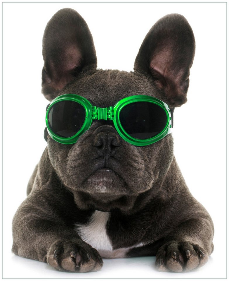 Wallario Möbelfolie Cooler Hund mit Sonnenbrille in grün - Französische Bulldogge Wallario Möbelfolie Cooler Hund mit Sonnenbrille in grün - Französische Bulldogge von Wallario