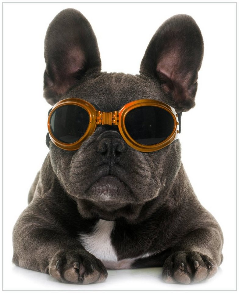 Wallario Möbelfolie Cooler Hund mit Sonnenbrille in orange - Französische Bulldogge von Wallario