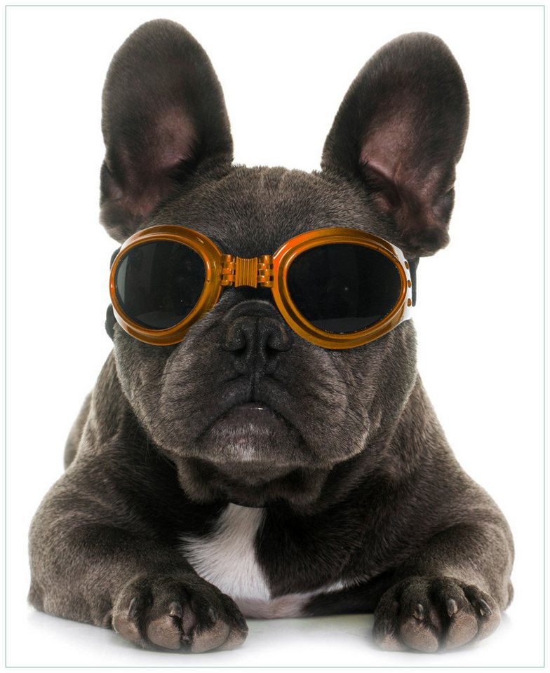 Wallario Möbelfolie Cooler Hund mit Sonnenbrille in orange - Französische Bulldogge Wallario Möbelfolie Cooler Hund mit Sonnenbrille in orange - Französische Bulldogge von Wallario