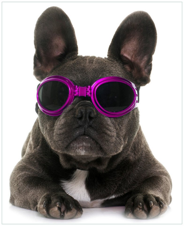 Wallario Möbelfolie Cooler Hund mit Sonnenbrille in pink - Französische Bulldogge Wallario Möbelfolie Cooler Hund mit Sonnenbrille in pink - Französische Bulldogge von Wallario