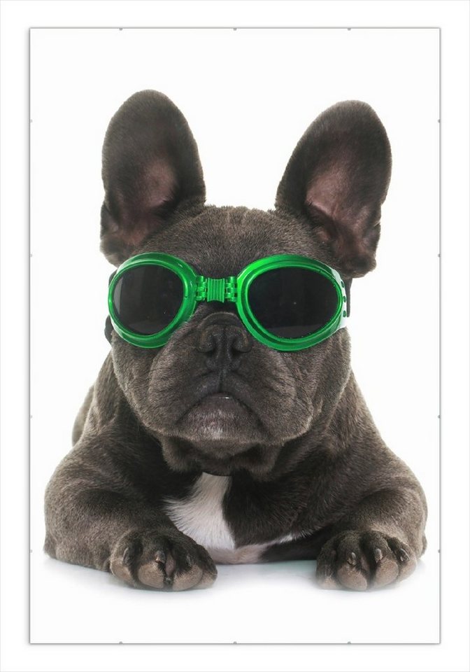 Wallario Poster, Cooler Hund mit Sonnenbrille in grün - Französische Bulldogge, in verschiedenen Ausführungen Wallario Poster, Cooler Hund mit Sonnenbrille in grün - Französische Bulldogge, in verschiedenen Ausführungen von Wallario