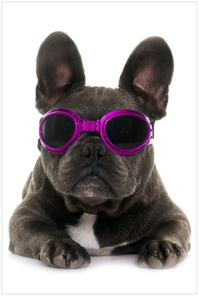 Wallario Poster, Cooler Hund mit Sonnenbrille in pink - Französische Bulldogge, in verschiedenen Ausführungen Wallario Poster, Cooler Hund mit Sonnenbrille in pink - Französische Bulldogge, in verschiedenen Ausführungen von Wallario