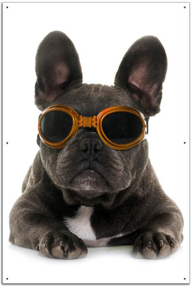 Wallario Sichtschutzzaunmatten Cooler Hund mit Sonnenbrille in orange - Französische Bulldogge von Wallario