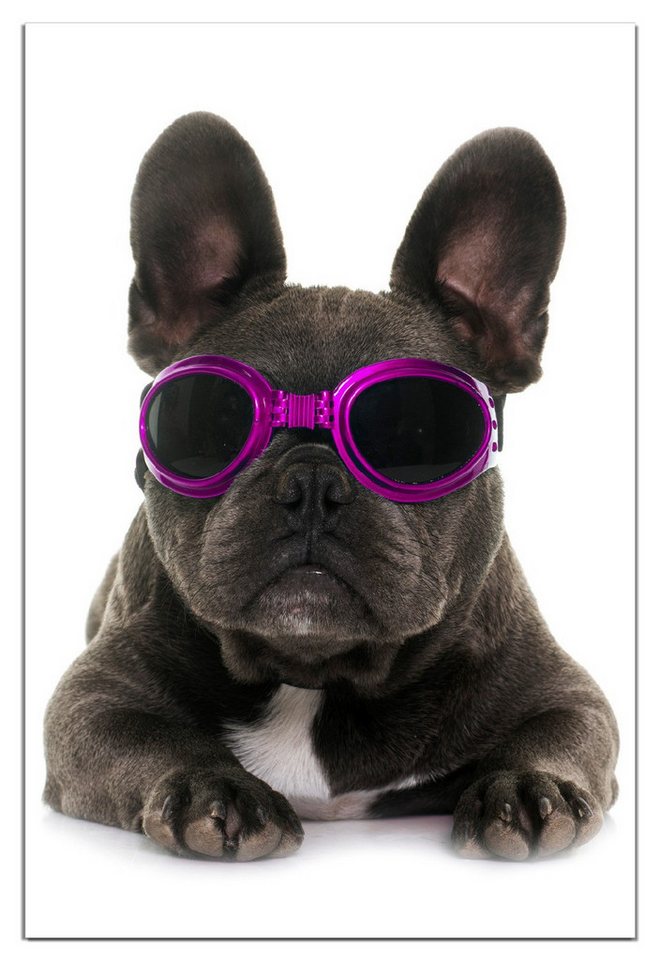 Wallario Wandfolie, Cooler Hund mit Sonnenbrille in pink - Französische Bulldogge, wasserresistent, geeignet für Bad und Dusche Wallario Wandfolie, Cooler Hund mit Sonnenbrille in pink - Französische Bulldogge, wasserresistent, geeignet für Bad und Dusche von Wallario