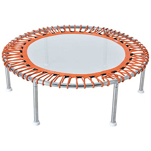 Waterflex WX-TR3-ROND Trampolin für Pool, 34 x 101 cm, mit Saugnäpfen zur Befestigung Waterflex WX-TR3-ROND Trampolin für Pool, 34 x 101 cm, mit Saugnäpfen zur Befestigung von Waterflex
