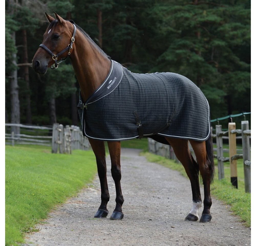 WeatherBeeta Pferde-Abschwitzdecke Weatherbeeta Thermocell Abschwitzdecke Standard WeatherBeeta Pferde-Abschwitzdecke Weatherbeeta Thermocell Abschwitzdecke Standard von WeatherBeeta