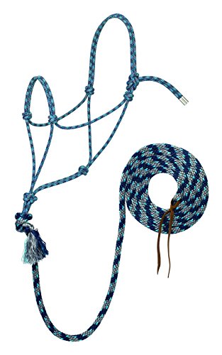 Silvertip Weaver Leder Nr. 95 Seilhalfter mit 30,5 cm Leine, Grau/Königsblau/Marineblau/Türkis, Durchschnittlich, 35-9525-T33 Silvertip Weaver Leder Nr. 95 Seilhalfter mit 30,5 cm Leine, Grau/Königsblau/Marineblau/Türkis, Durchschnittlich, 35-9525-T33 von Weaver Leather