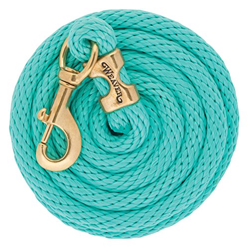 Weaver Führleine Poly Leder Seil mit massivem Messing 225, Snap, Coral/Französisch Blau/Mint/Lavendel, 5/20,3 cm X 10 ', mint Weaver Führleine Poly Leder Seil mit massivem Messing 225, Snap, Coral/Französisch Blau/Mint/Lavendel, 5/20,3 cm X 10 ', mint von Weaver Leather