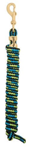 Weaver Führstrick aus Leder mit massivem Messing, 225 Karabiner, 35-2100-K19, Schwarz/Hurricane Blue/Lime Zest, 5/8 X 10' Weaver Führstrick aus Leder mit massivem Messing, 225 Karabiner, 35-2100-K19, Schwarz/Hurricane Blue/Lime Zest, 5/8 X 10' von Weaver Leather