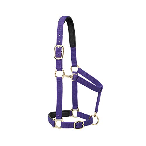 Weaver Halfter für Kinn und Hals, Leder, gepolstert, verstellbar, 2,5 cm, Violett Weaver Halfter für Kinn und Hals, Leder, gepolstert, verstellbar, 2,5 cm, Violett von Weaver Leather