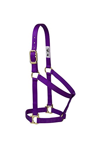 Weaver Leather 35–7404-TU Einfacher unverstellbarer Halfter, 25 mm für kleine Pferde, Türkis, 35-7405-PU, violett, Average Horse von Weaver Leather