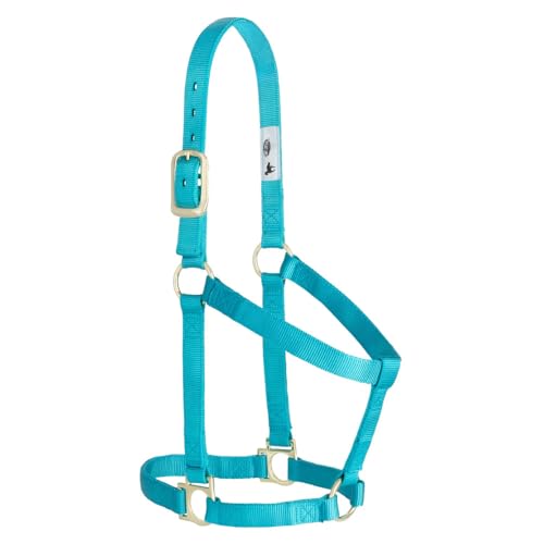Weaver Leather 35–7404-TU Einfacher unverstellbarer Halfter, 25 mm für kleine Pferde, Türkis, 35-7405-TU, türkis, Average Horse Weaver Leather 35–7404-TU Einfacher unverstellbarer Halfter, 25 mm für kleine Pferde, Türkis, 35-7405-TU, türkis, Average Horse von Weaver Leather