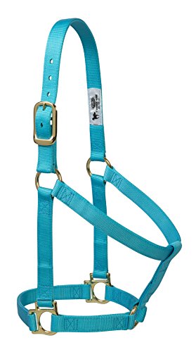 Weaver Leather 35–7404-TU Einfacher unverstellbarer Halfter, 25 mm für kleine Pferde, Türkis, 35-7406-TU, türkis, L Horse Weaver Leather 35–7404-TU Einfacher unverstellbarer Halfter, 25 mm für kleine Pferde, Türkis, 35-7406-TU, türkis, L Horse von Weaver Leather
