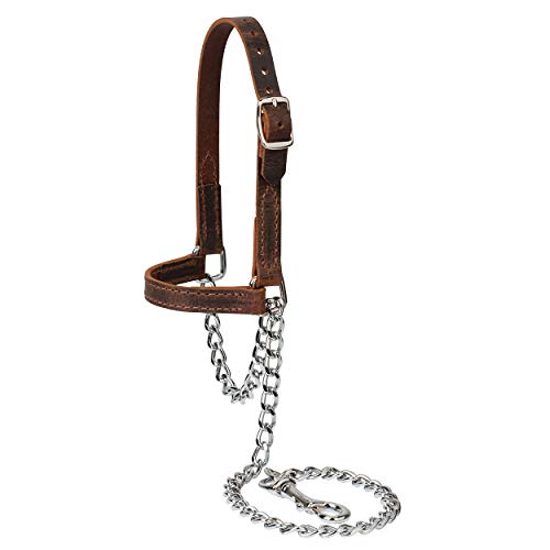 Weaver Leather 80100-60-64 Ziegenhalfter aus Leder, groß Weaver Leather 80100-60-64 Ziegenhalfter aus Leder, groß von Weaver Leather