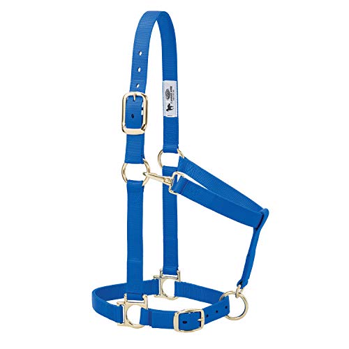 Weaver Leather Basic Adjustable Nylon Halter, Blue, 1" Large Horse Weaver Leather Basic Adjustable Nylon Halter, Blue, 1" Large Horse von Weaver Leather