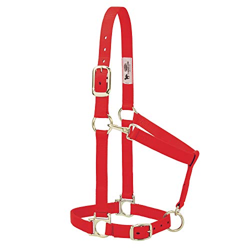 Weaver Leather Basic Adjustable Nylon Halter, Red, 1" Small Horse von Weaver Leather