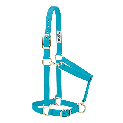 Weaver Leather Basic Adjustable Nylon Halter, Turquoise, 1" Large Horse von Weaver Leather