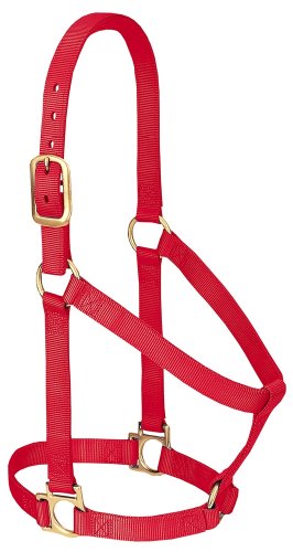 Weaver Leather Basic Halfter aus Nylon, Nicht verstellbar, Rot, 2,5 cm großes Pferd Weaver Leather Basic Halfter aus Nylon, Nicht verstellbar, Rot, 2,5 cm großes Pferd von Weaver Leather
