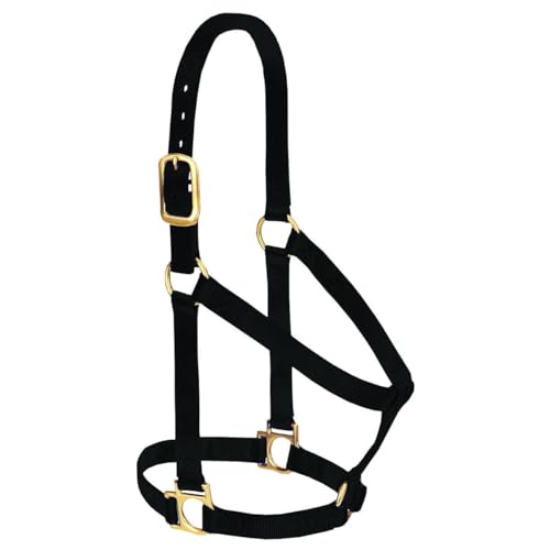Weaver Leather Basic Halfter aus Nylon, Nicht verstellbar, schwarz, 2,5 cm großes Pferd Weaver Leather Basic Halfter aus Nylon, Nicht verstellbar, schwarz, 2,5 cm großes Pferd von Weaver Leather