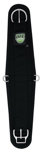 Weaver Leather Felt Lined Roper Smart Cinch Black, 28-Inch Weaver Leather Felt Lined Roper Smart Cinch Black, 28-Inch von Weaver Leather