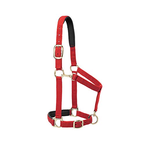 Weaver Leather Gepolstertes, verstellbares Kinn- und Halfter mit Schnappverschluss, 2,5 cm durchschnittlicher Zugluftzug für Pferde oder Jährlicher, Rot Weaver Leather Gepolstertes, verstellbares Kinn- und Halfter mit Schnappverschluss, 2,5 cm durchschnittlicher Zugluftzug für Pferde oder Jährlicher, Rot von Weaver Leather