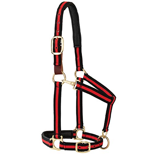 Weaver Leather Gepolstertes Halfter für Kinn und Hals, verstellbar, 2,5 cm durchschnittlicher Zugluft für Pferd oder Jährling, rot gestreift Weaver Leather Gepolstertes Halfter für Kinn und Hals, verstellbar, 2,5 cm durchschnittlicher Zugluft für Pferd oder Jährling, rot gestreift von Weaver Leather