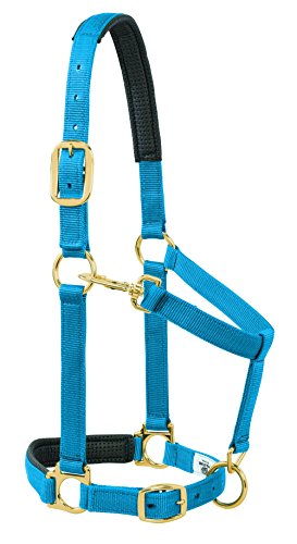 Weaver Leather Gepolstertes verstellbares Kinn- und Halfter mit Schnappverschluss, 2,5 cm großes Pferd oder 2-jährige Zugluft, Blau Weaver Leather Gepolstertes verstellbares Kinn- und Halfter mit Schnappverschluss, 2,5 cm großes Pferd oder 2-jährige Zugluft, Blau von Weaver Leather