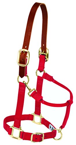 Weaver Leather Sicherheits-Halfter für Pferde aus Nylon, verstellbar, Größe S, Rot Weaver Leather Sicherheits-Halfter für Pferde aus Nylon, verstellbar, Größe S, Rot von Weaver Leather